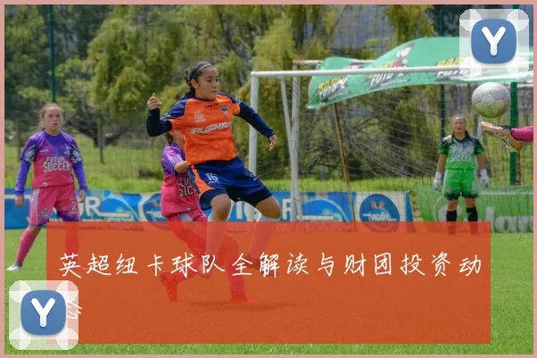 英超纽卡球队全解读与财团投资动态