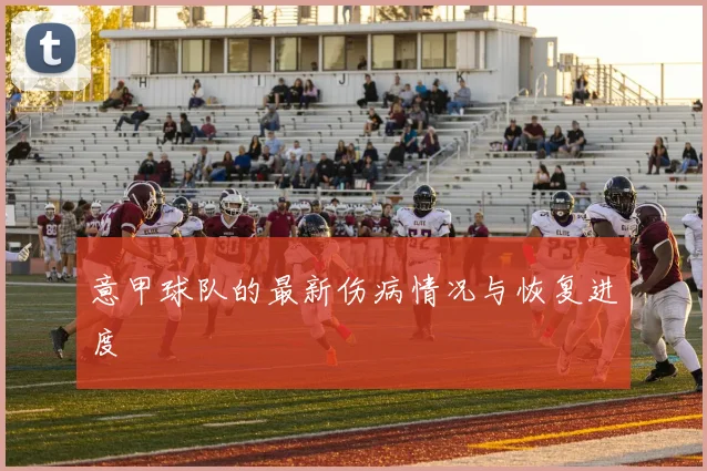 意甲球队的最新伤病情况与恢复进度
