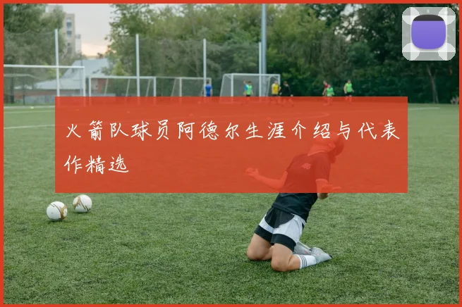 火箭队球员阿德尔生涯介绍与代表作精选