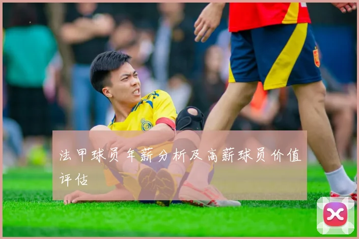 法甲球员年薪分析及高薪球员价值评估