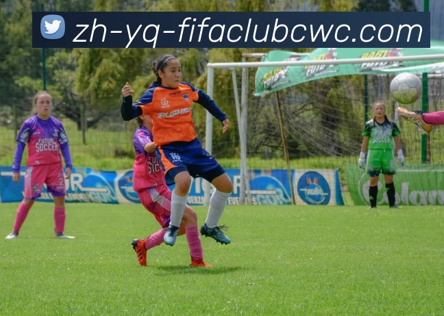 世界杯平台平台生态图