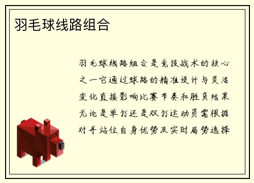 羽毛球线路组合